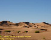 15 désert maroc.jpg