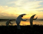 qigong nature.JPG