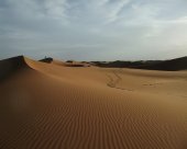 qi qong desert marocain m'hamid.jpg