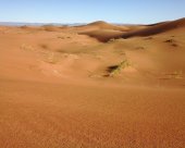 beaute-du-desert-marocain.jpg