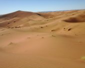 immensite-du-sahara.jpg