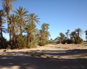 Oasis-du-Maroc.jpg