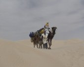 En avant les enfants désert tunisien Amazigh Trekking.JPG